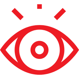 vision